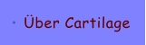 �ber Cartilage