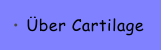 �ber Cartilage