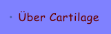�ber Cartilage
