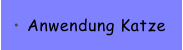 Anwendung Katze