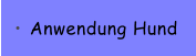 Anwendung Hund
