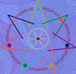 Boswellia Serrata Extrakt MSM Spirulina Pulver