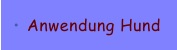 Anwendung Hund